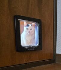 飼い主さんを監視する猫　20分後…予想外の光景に笑っちゃう