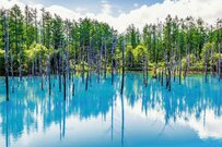 2023年8月26日更新！楽天トラベル、じゃらん、JTBで配布中の旅行クーポンまとめ