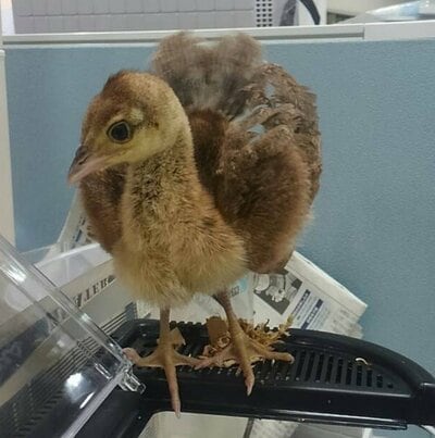 投稿の画像