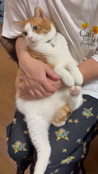 抱っこされるふうたくん