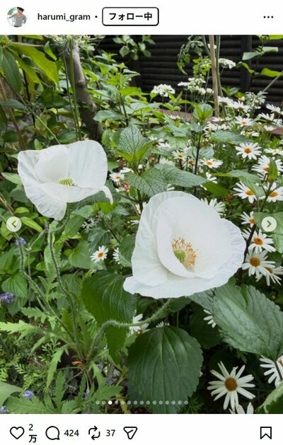 栗原はるみのInstagram投稿