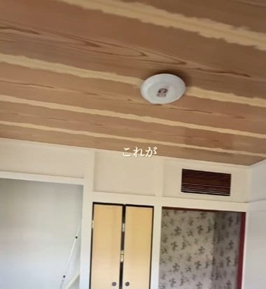 投稿の画像
