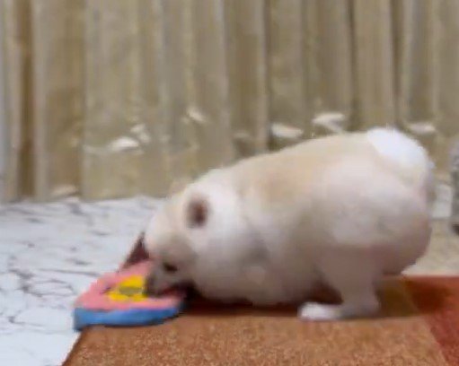 出所：@boku_ponchan