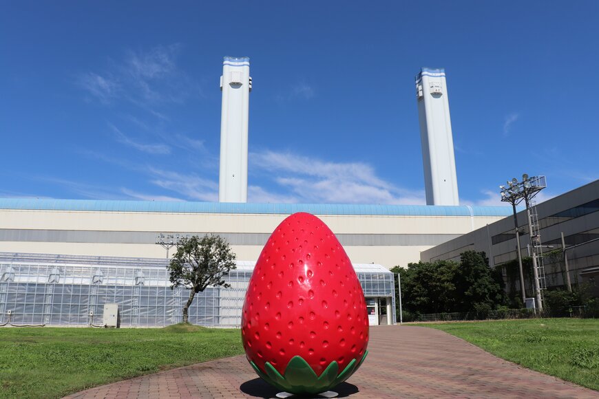 画像出所：横浜ストロベリーパーク