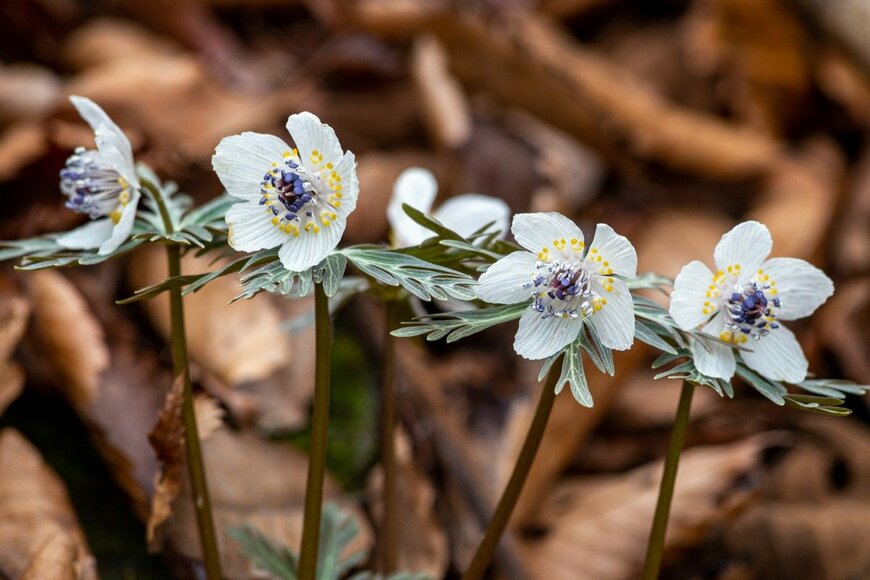 Billy_Fam/istockphoto.com