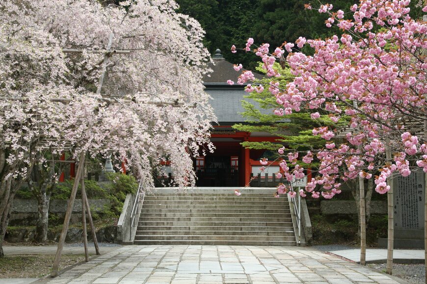 Emile Noir/shutterstock.com