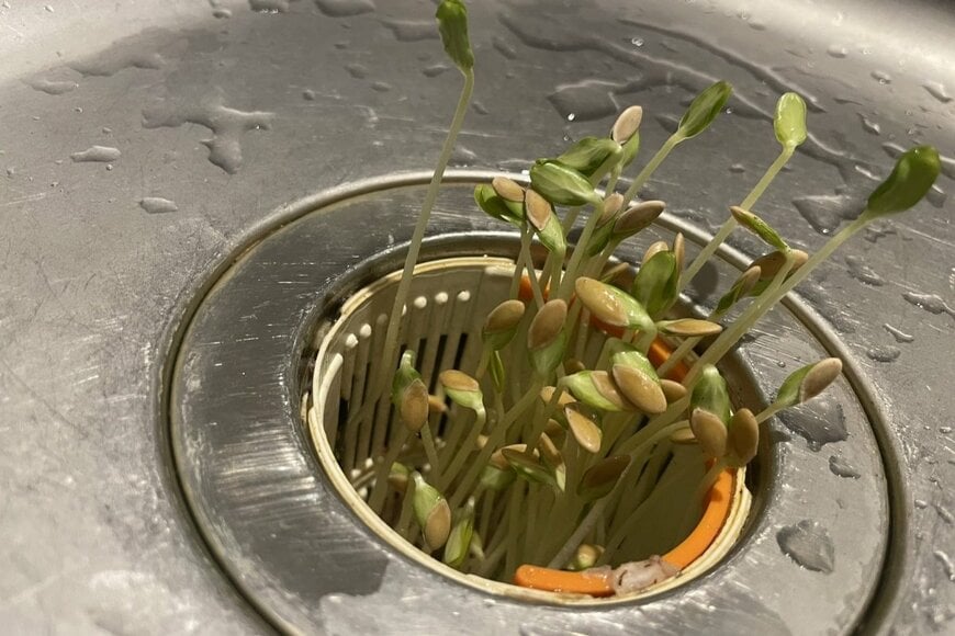 出所：@yutamaru0308