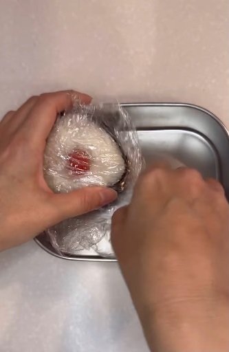 【女子高生弁当】梅干しのキューッとした酸っぱさが食欲そそる「おにぎり弁当」が話題