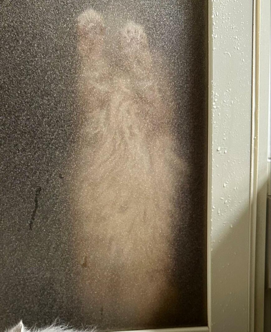 出所：@NEKOLAND13