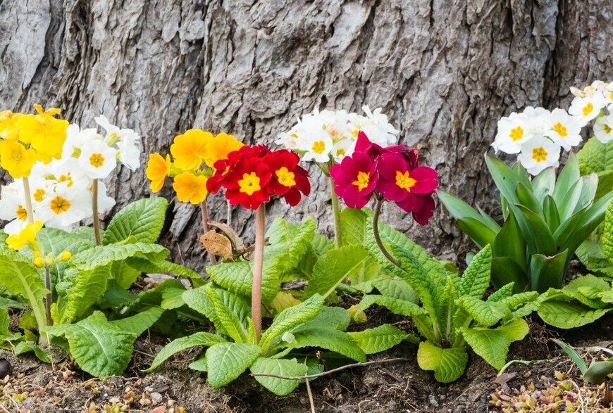 Pusteflower9024/istockphoto.com