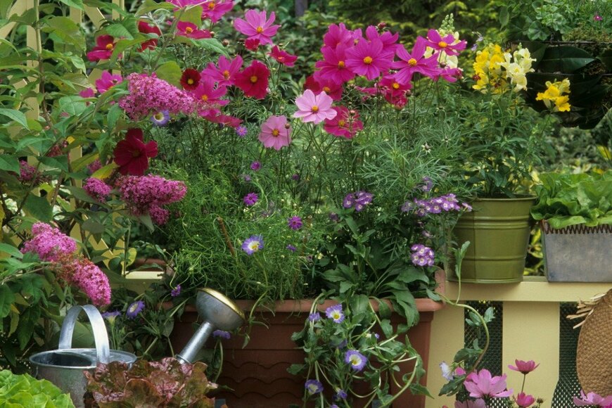 Michel VIARD/istockphoto.com