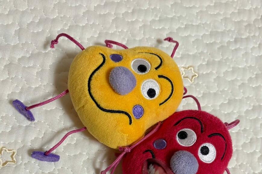 3歳児のセンスがありすぎる「いたずら」が話題　人気キャラクターのぬいぐるみ強烈な違和感…
