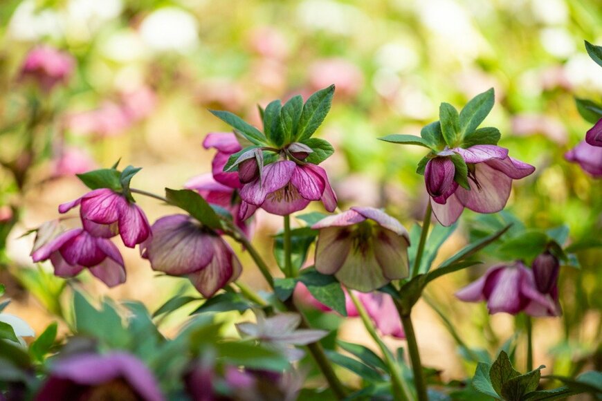 Billy_Fam/istockphoto.com