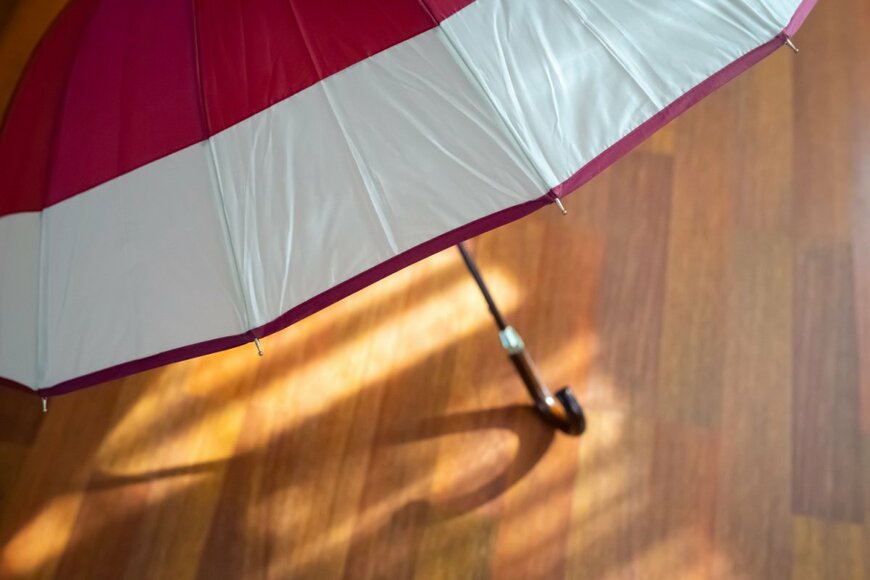 newsony/shutterstock.com