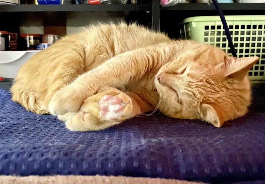 出所：@luna7taka9