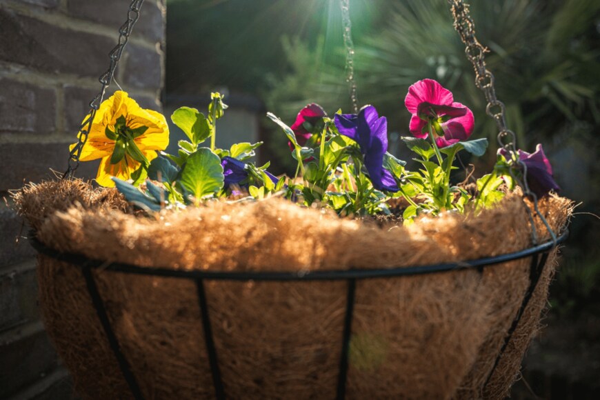 CBCK-Christine/istockphoto.com