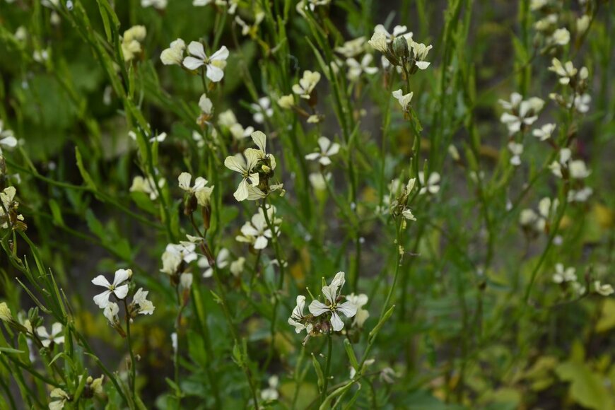 weha/Shutterstock.com