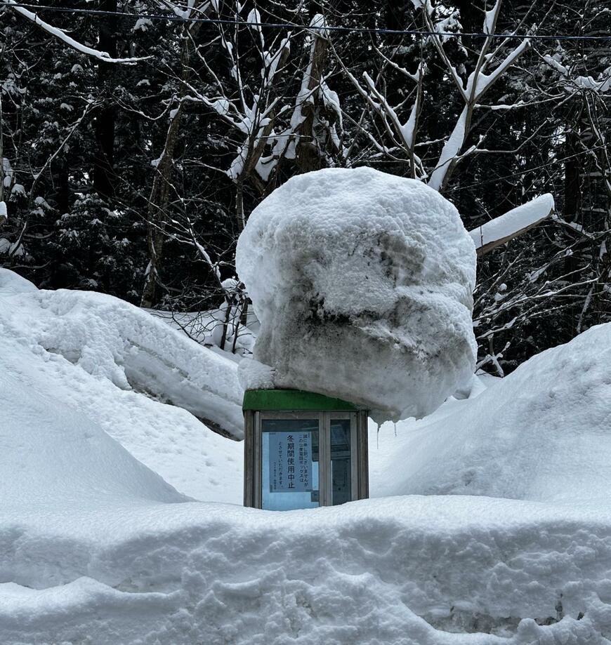 出所：@tadano_shasin