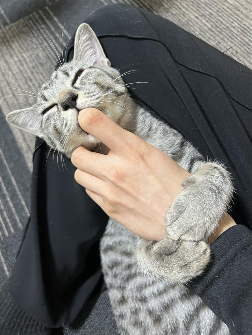 出所：@totomaru_hanmi