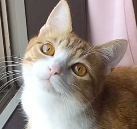 出所：@mero627puri914