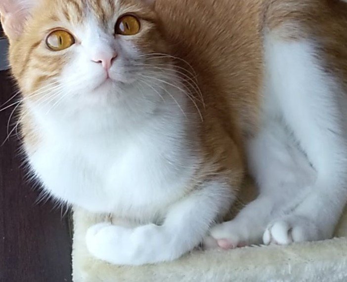 出所：@mero627puri914