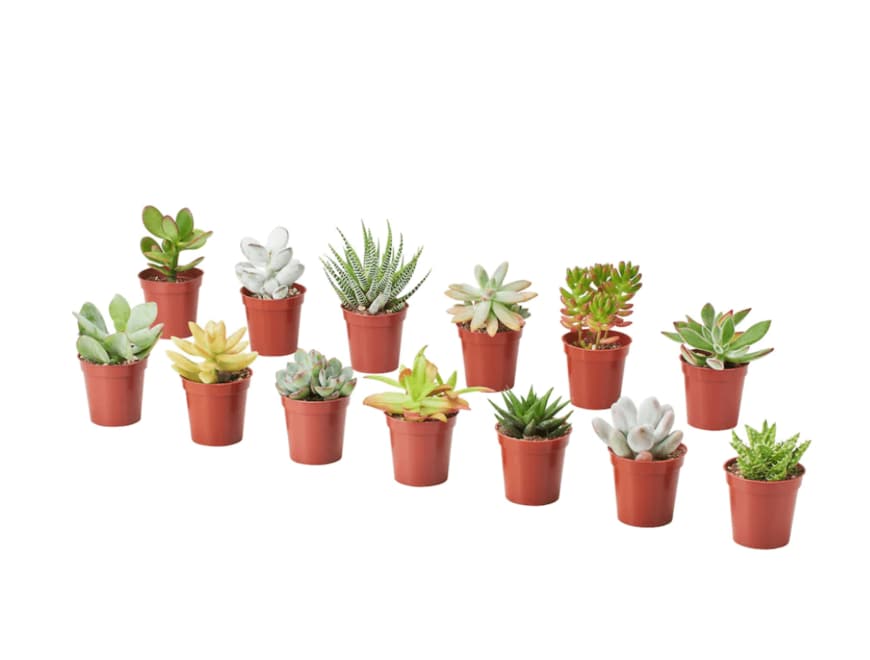 画像出典：IKEA公式