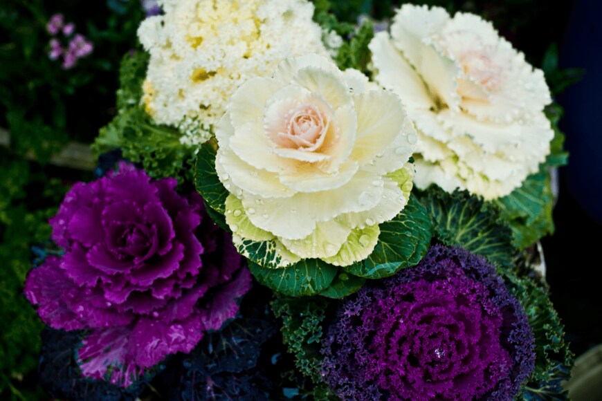 RojaninSri/shutterstock.com