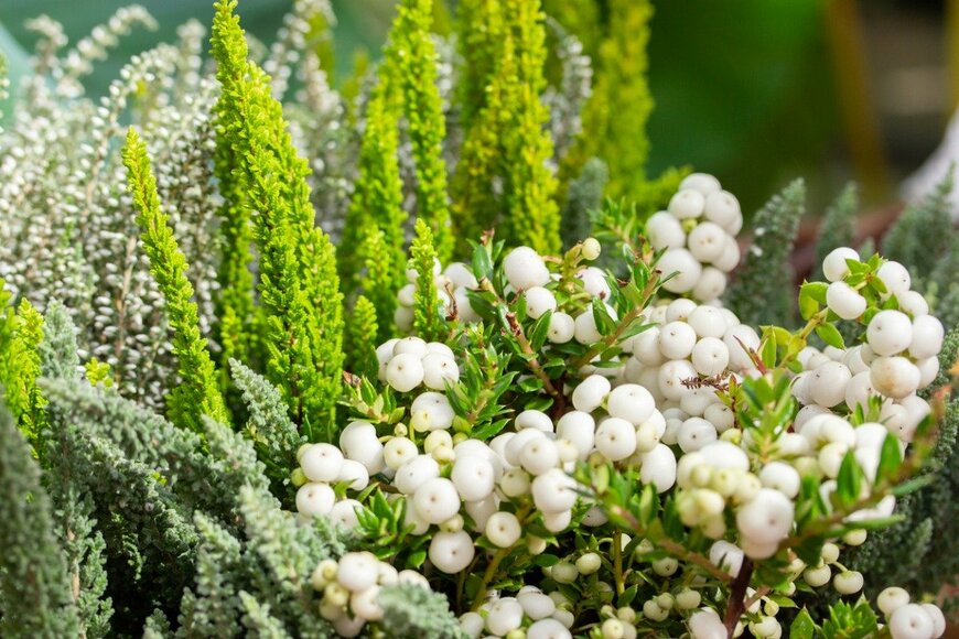 OlgaKorica/istockphoto.com