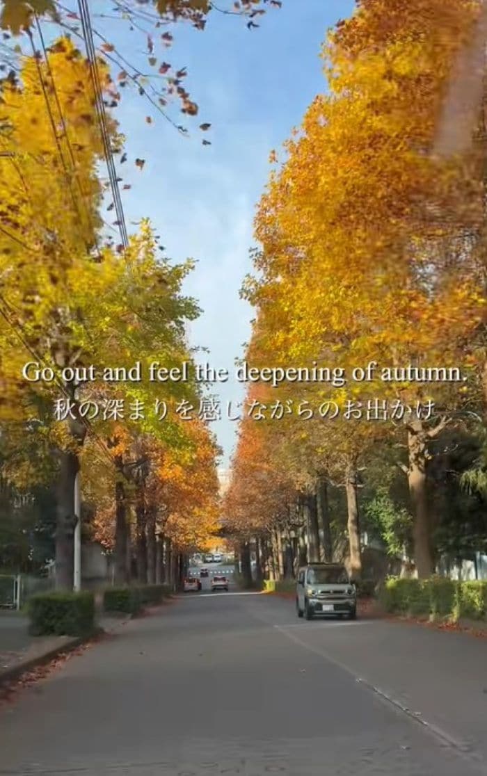 出所：＠chikachan_0719