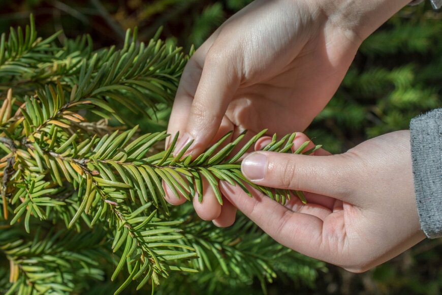 Berke/shutterstock.com