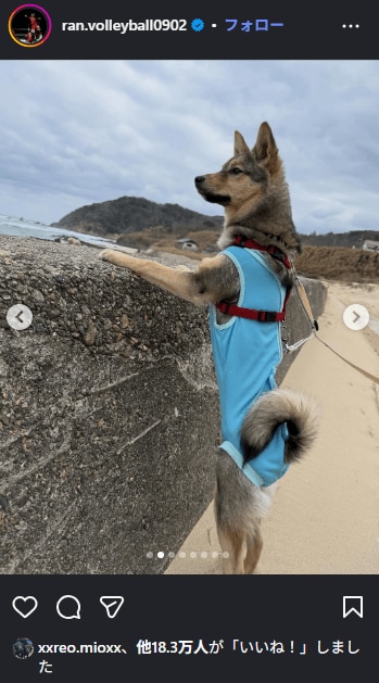 出所：高橋藍 Instaguramアカウント（@ran.volleyball0902）