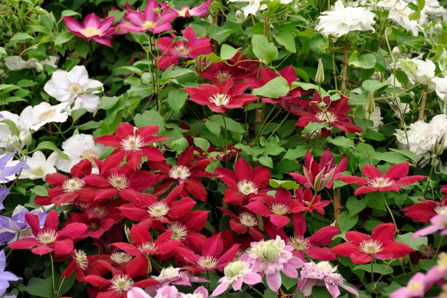 HHelene/istockphoto.com