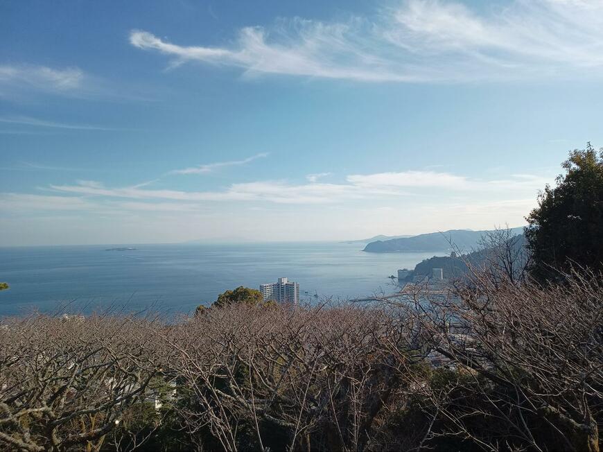 出所：@minerva_owl1