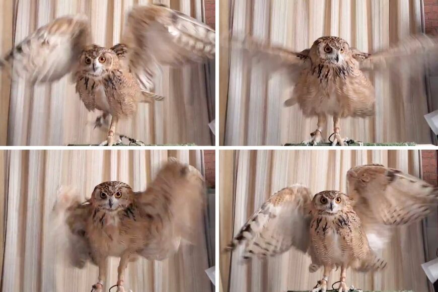 出所：@NORIKO_Rye