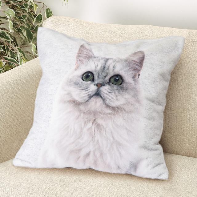 ニトリ、クッションカバー(ファーネコ FP2401 C 45×45cm)画像