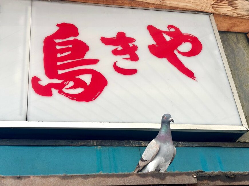 投稿の画像