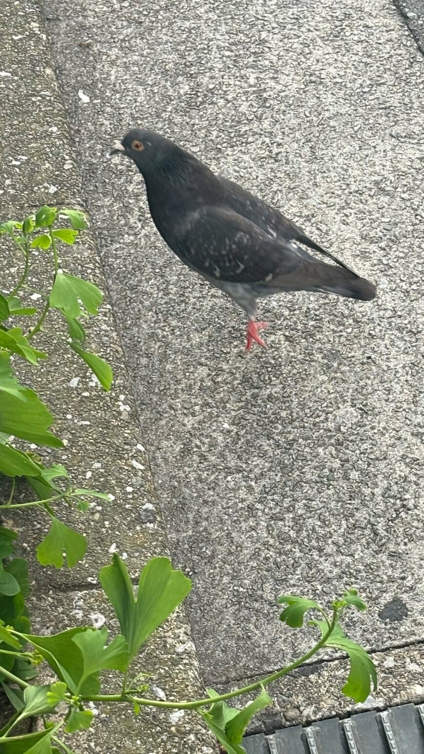 ずっと見ていたくなります
