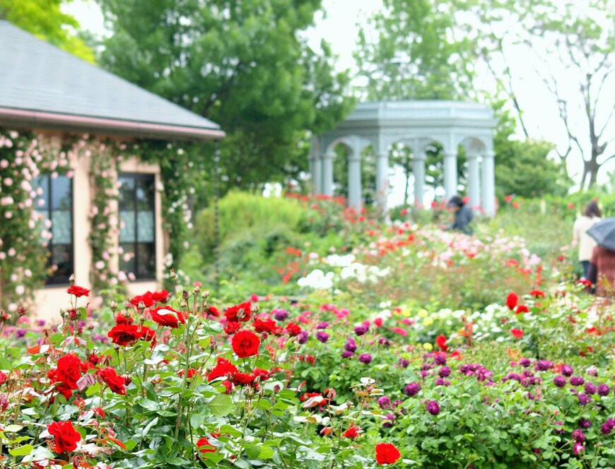 びわ湖大津館のバラ園