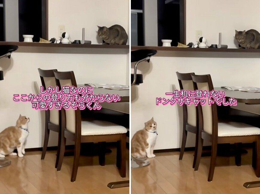 そらくんの結末は…？