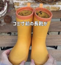 「すっごく可愛い」捨てる寸前の長靴が＜寄せ植え＞映えするガーデン雑貨に大変身！反響続々