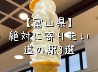 富山県の道の駅で味わえる「絶品グルメ3選」に注目！「全部行ってきた」「めっちゃおすすめ」と共感の声