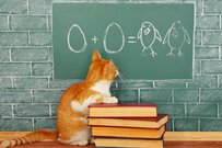 60代世帯の「貯蓄学」資産寿命はこうして延ばす