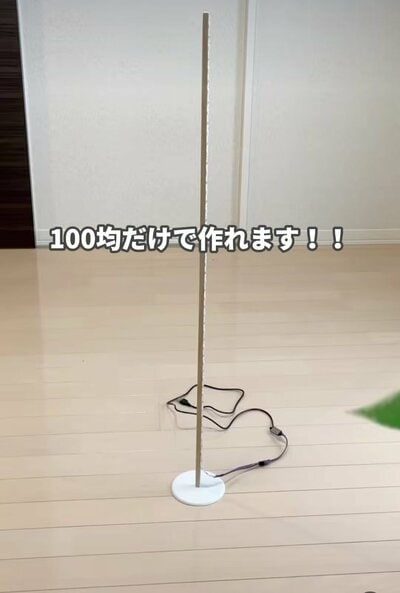 投稿の画像