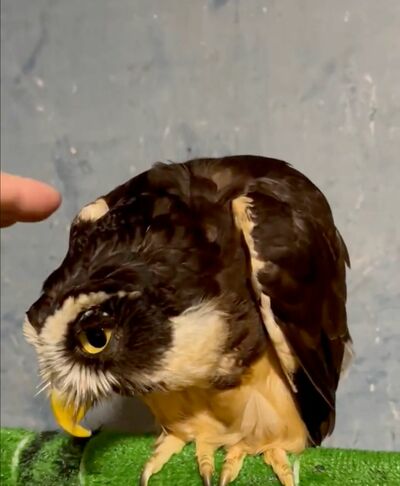 投稿動画のワンシーン