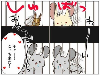 お友だちが、まるでアイドル気分になれちゃうんです（笑）