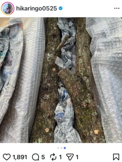 石田ひかりのInstagram投稿
