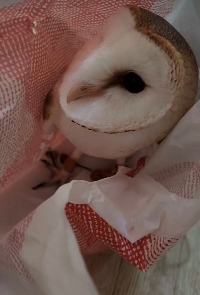 投稿動画のワンシーン