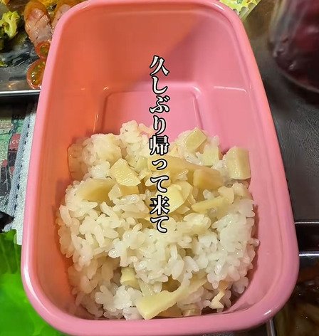 【一人暮らしの娘へ】久々に帰省した娘に父が作る「愛情弁当」親心が詰まった家庭の味