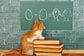 60代世帯の「貯蓄学」資産寿命はこうして延ばす