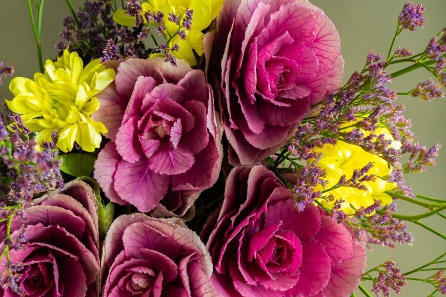 Irina Chayko/istockphoto.com